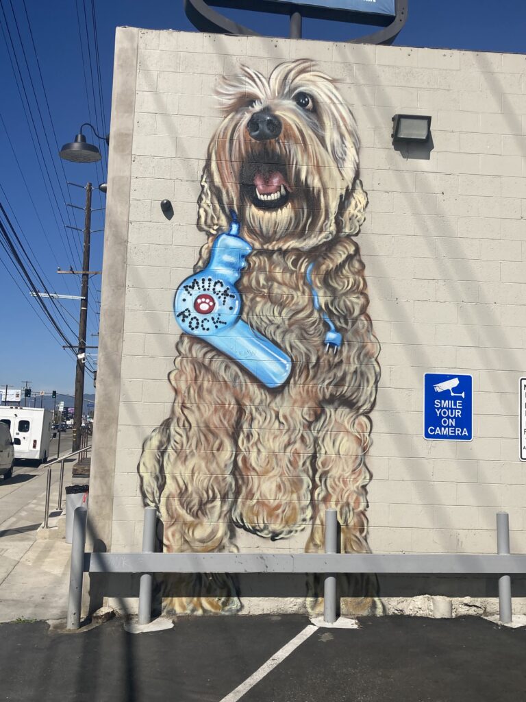 Muck Rock shaggy Dog mural ; graffiti/street art  artist from Venice Beach California